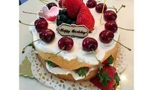 我的课余生活——空模制作_700字