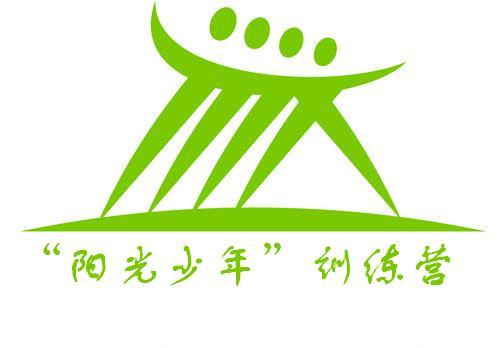阳光男孩_500字