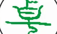 飞上蓝天的折翼天使_600字