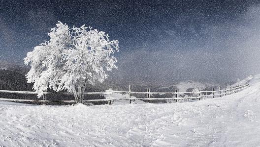 描述冬天雪景欣赏的句子_1500个单词