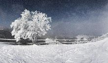 描写冬天雪景的句子欣赏_1500字