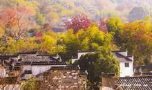 描写秋天凄美的段落_3000字