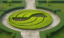 校园的花坛_700字