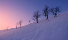 话题作文：沉稳与灵动_1200字