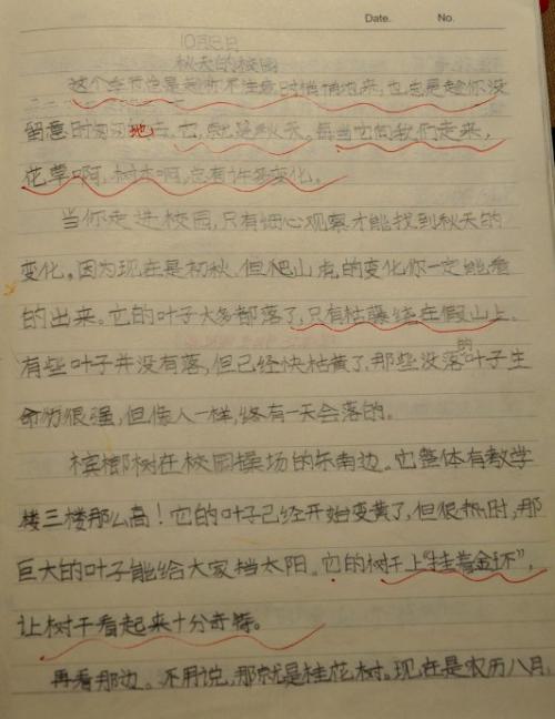 描述秋天的夜晚的好句子和段落_1500个单词