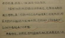 描写秋夜的好句好段_1500字