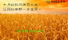 描写秋天来了的句子_1000字