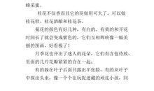 描写校园的秋天好段佳句_1000字