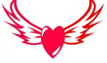 羽翼·翱翔·自由_1200字