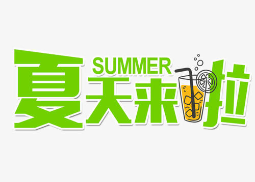 夏天在这里_400字