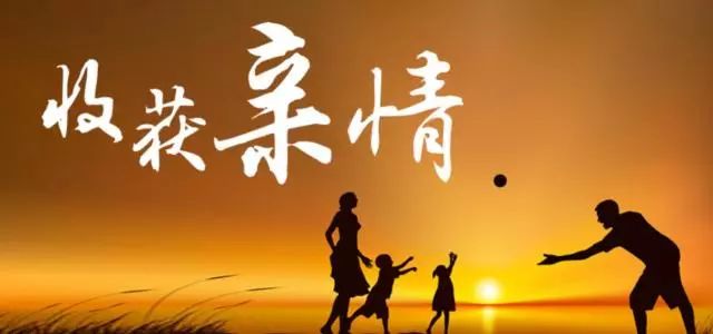 关于父亲之爱的构成：读完《傅雷的家书》 _1000字后，父亲的爱就像一场山峰般的思考。
