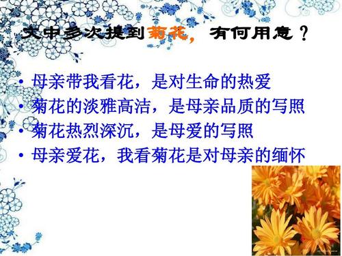 Miss_900字