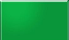 深绿色的思量_1000字