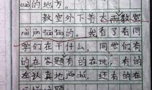 二年级暑假日记：浇花_100字