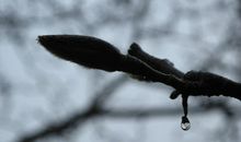 谷雨未雨_1200字