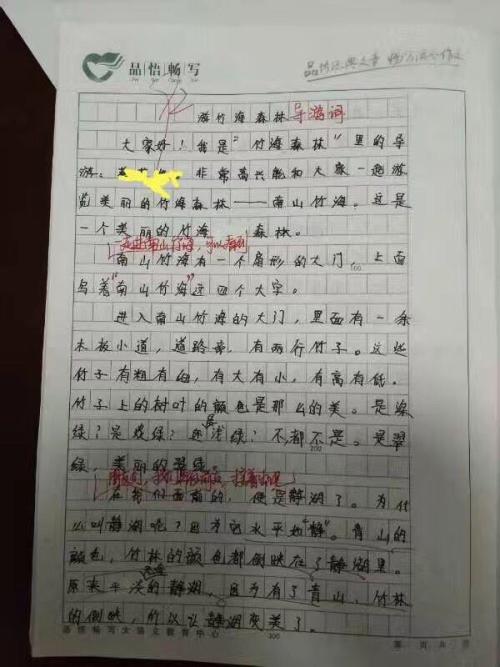 小生初的作文写作指南：查看_2000个单词后如何写论文