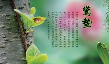 惊蛰的启示_500字