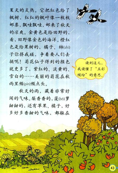 雨的成分：秋天的黑雨_900字