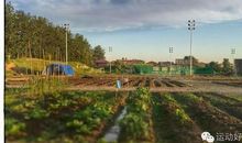 二十四节气七言诗_200字