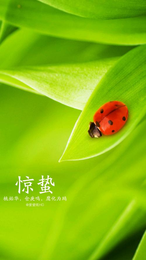 惊st雷声升起700字