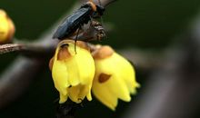 惊蛰的苏醒_2000字