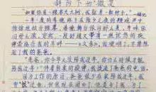 [PK赛]关于这也是一种美丽的作文：一次不寻常的经历_1500字