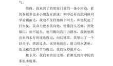 [PK赛]关于夏天的作文：我爱山区的夏季_600字