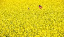 记忆中的彩虹_450字