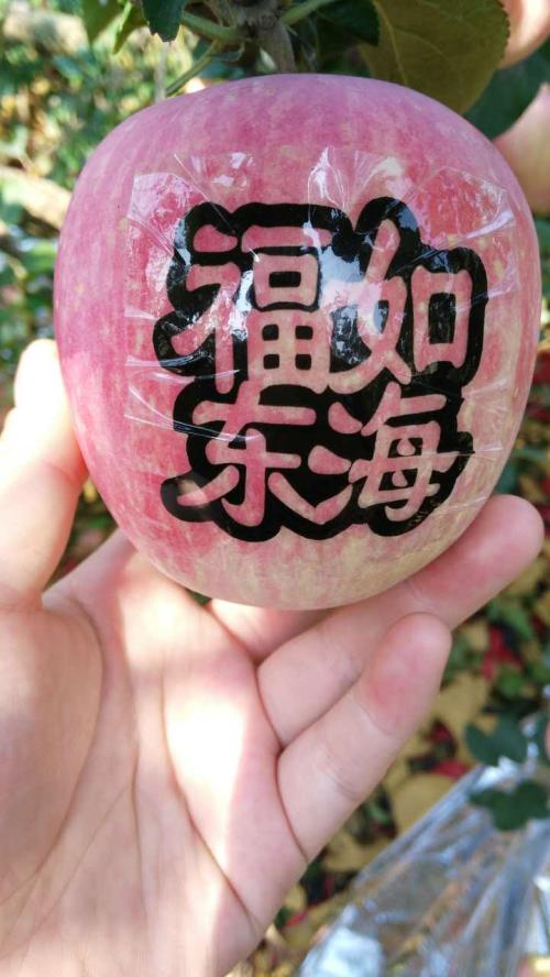 6月获奖论文：父亲的e头（800字）