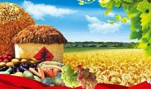 秋天，你悄悄地走来_450字