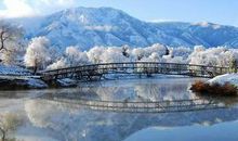 冬天的景色_350字