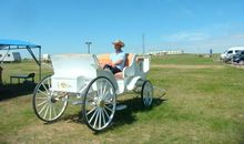 潇洒走一回_600字