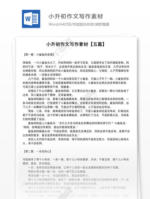 小生初作文写作指南：字母格式_250字