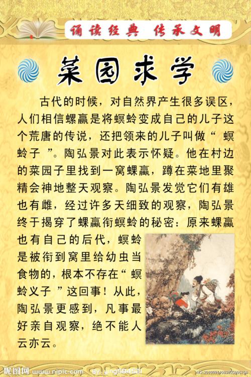 陶洪静在菜园里读书