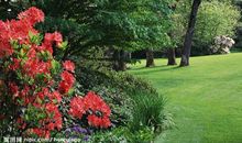 花园的一角_500字