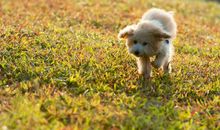 我常去的地方_2000字