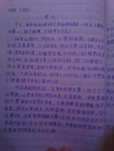 三年级暑假：世博之旅300字
