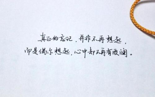 不能让我忘记的小事1200个单词