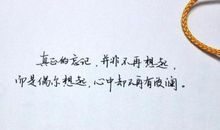 无法让我忘记的小事_1200字