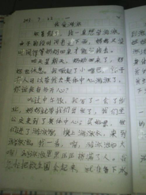 五年级暑假：美丽的夜晚_650字