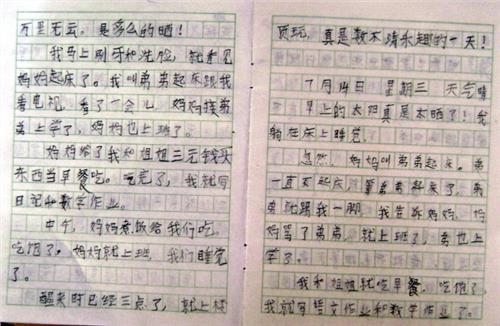 三年级暑假：快乐的小乌龟_250字