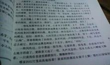 关于美的作文：家乡环境美了_650字