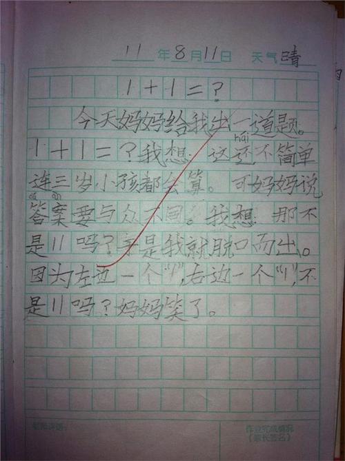 六年级暑假笔记：一个有趣的冲向大海800字