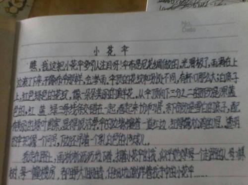 一年级暑假：我的兔子_200字