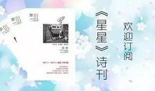 星星的赞歌_650字