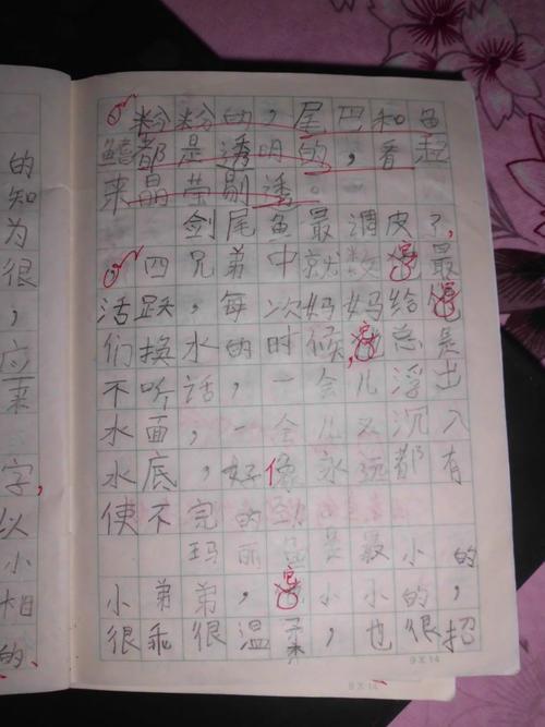 六年级暑假笔记：周日早晨_400个单词