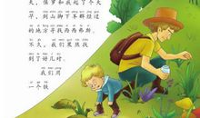 大自然真神奇——读《昆虫记》有感_750字