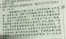 笑的含义 _800字