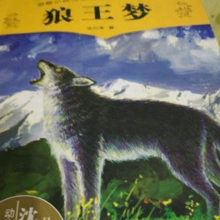 看完《狼王的梦》 _1200字