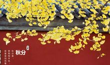 关于秋分的作文：秋分_550字